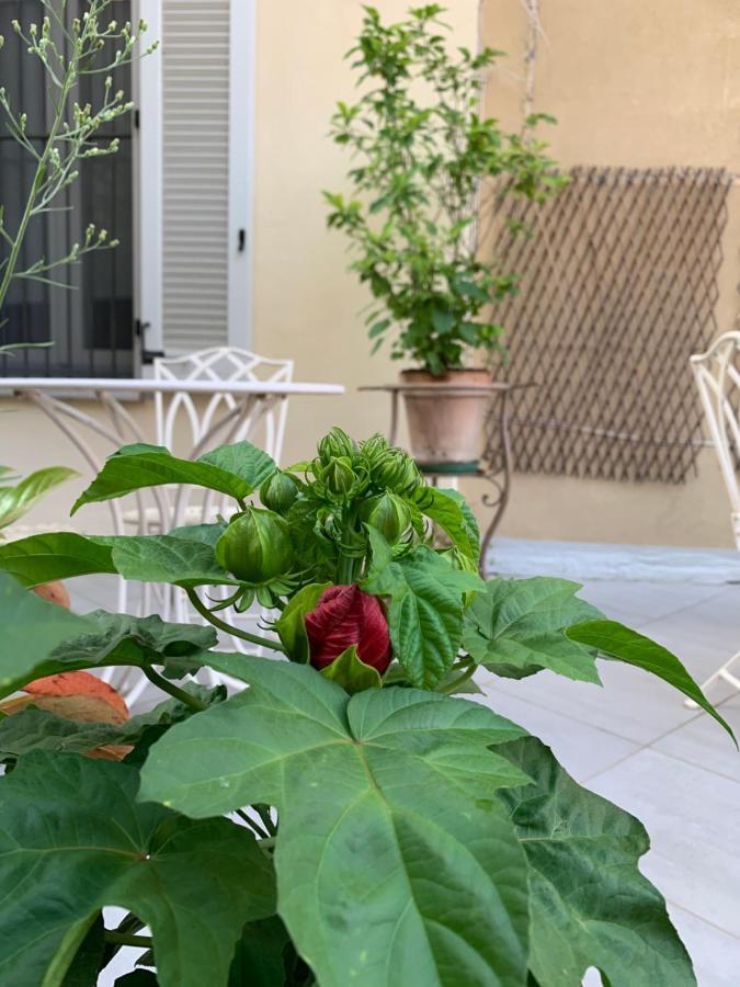 La Terrazza Vercelli Bed & Charme Экстерьер фото